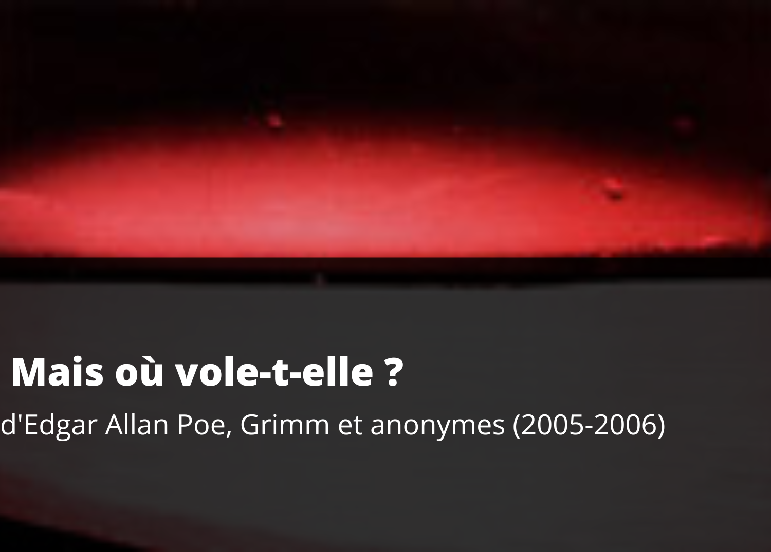 Visuel site Mais où vole t elle